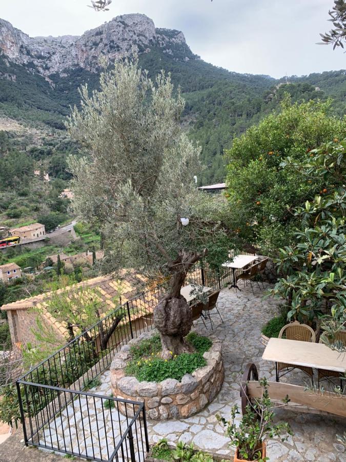 Hostal Villa Verde-Adults Only Deia Eksteriør billede